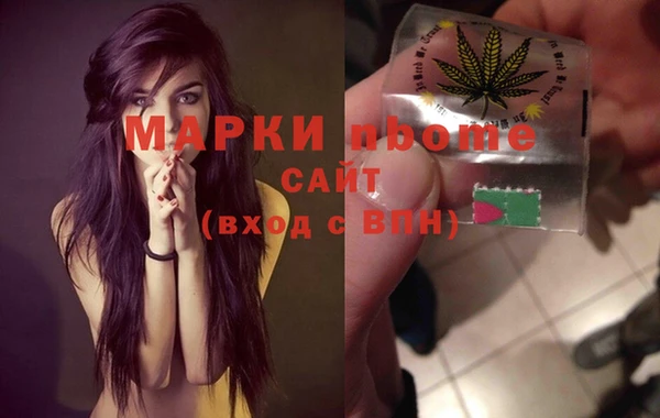 индика Зеленокумск