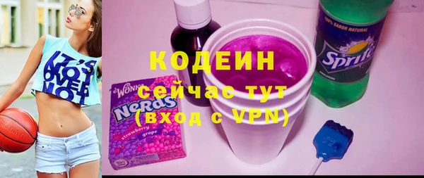 индика Зеленокумск