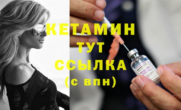 индика Зеленокумск