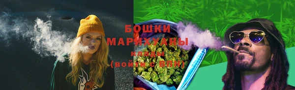 индика Зеленокумск