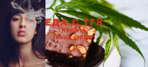 индика Зеленокумск