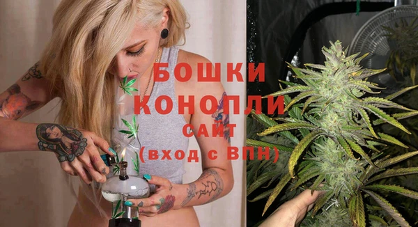индика Зеленокумск