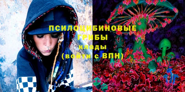 индика Зеленокумск