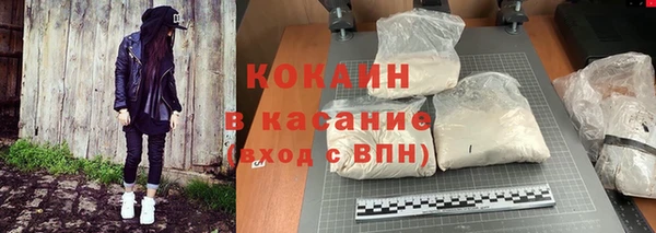 индика Зеленокумск