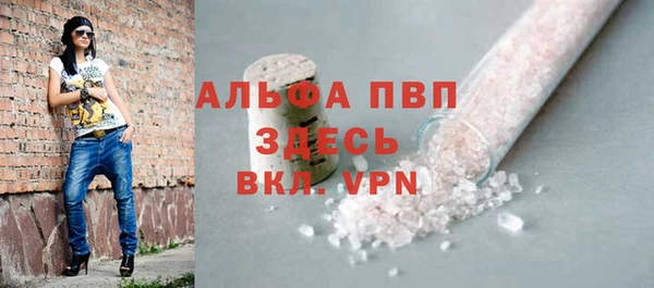 индика Зеленокумск