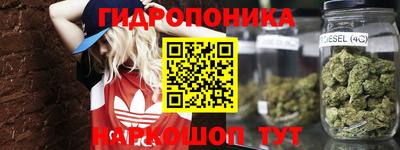 гашик Гусь-Хрустальный