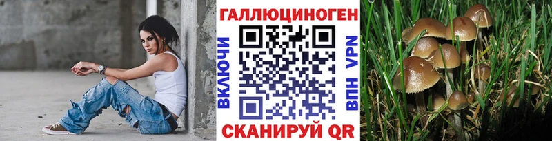 как найти   блэк спрут как войти  Галлюциногенные грибы Cubensis  Ишимбай 